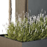 HQ Tree and bush garden box outdoor VOL 50