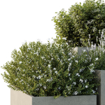 HQ Tree and bush garden box outdoor VOL 51