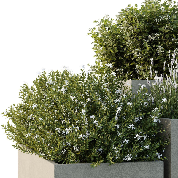 HQ Tree and bush garden box outdoor VOL 51