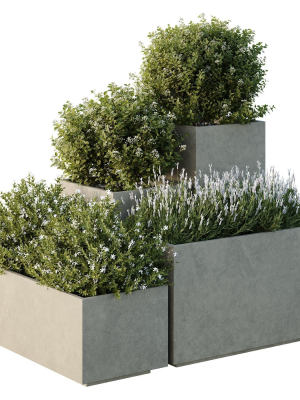 HQ Tree and bush garden box outdoor VOL 51