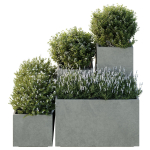 HQ Tree and bush garden box outdoor VOL 51