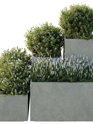hq-tree-and-bush-garden-box-outdoor-vol-51-3d-model-e5f049c3ff