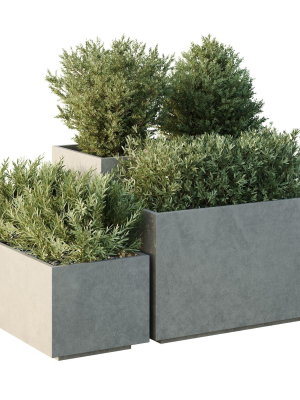 HQ Tree and bush garden box outdoor VOL 52