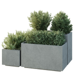 HQ Tree and bush garden box outdoor VOL 52