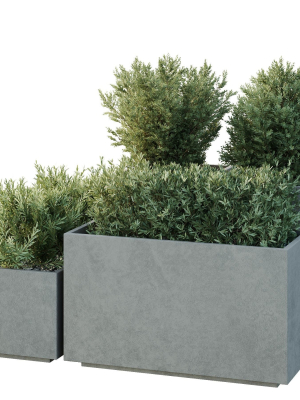 hq-tree-and-bush-garden-box-outdoor-vol-52-3d-model-d04141599b