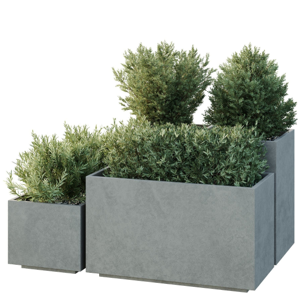 HQ Tree and bush garden box outdoor VOL 52