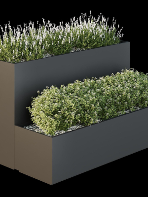HQ Tree and bush garden box outdoor VOL 53