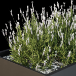 HQ Tree and bush garden box outdoor VOL 53