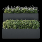 HQ Tree and bush garden box outdoor VOL 53