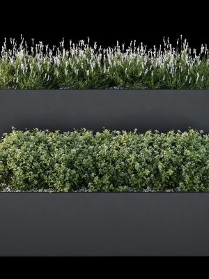 hq-tree-and-bush-garden-box-outdoor-vol-53-3d-model-f02165d2bc