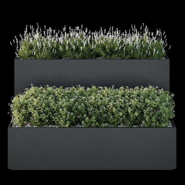 HQ Tree and bush garden box outdoor VOL 53