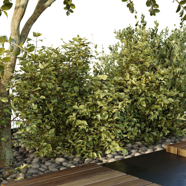 HQ Tree and bush garden box outdoor VOL 54