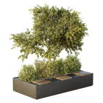 HQ Tree and bush garden box outdoor VOL 54