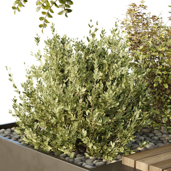 HQ Tree and bush garden box outdoor VOL 54