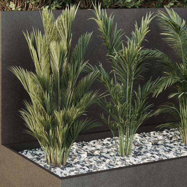 HQ Tree and bush garden box outdoor VOL 55