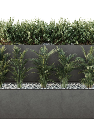 HQ Tree and bush garden box outdoor VOL 55