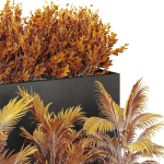 HQ Tree and bush garden box outdoor VOL 55