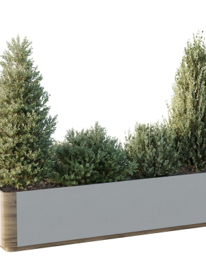 HQ Tree and bush garden box outdoor VOL 56