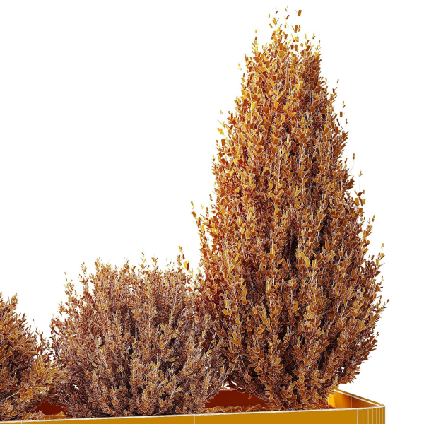 HQ Tree and bush garden box outdoor VOL 56