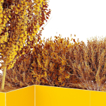 HQ Tree and bush garden box outdoor VOL 57