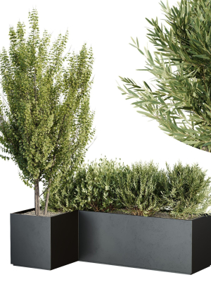 HQ Tree and bush garden box outdoor VOL 57