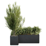 HQ Tree and bush garden box outdoor VOL 57