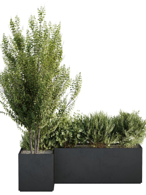 hq-tree-and-bush-garden-box-outdoor-vol-57-3d-model-bb6f304bd8