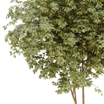 HQ Urban environment set of green plant benches 09