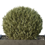 HQ Urban environment set of green plant benches 12