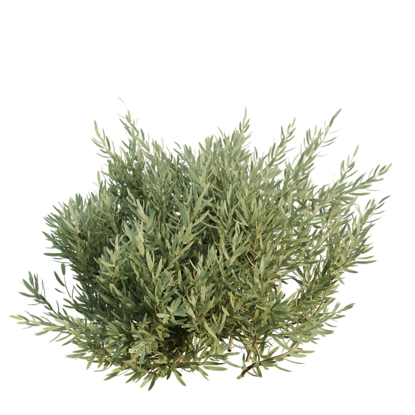 HQ Urban environment set of green plant benches 15