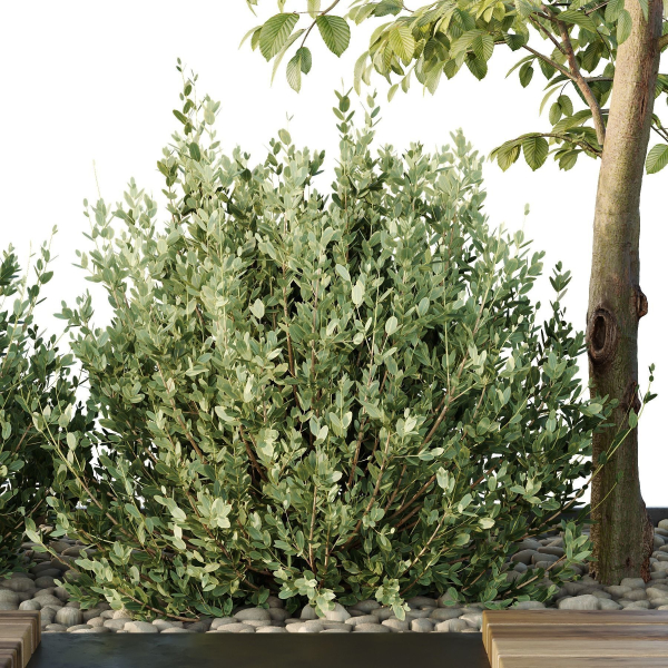HQ Urban environment set of green plant benches 17