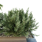 HQ Urban environment set of green plant benches 17