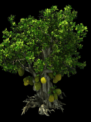 hundred-forests-plants-jackfruit-23-3d-model-max