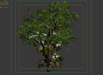 Hundred Forests-Plants-Jackfruit 23