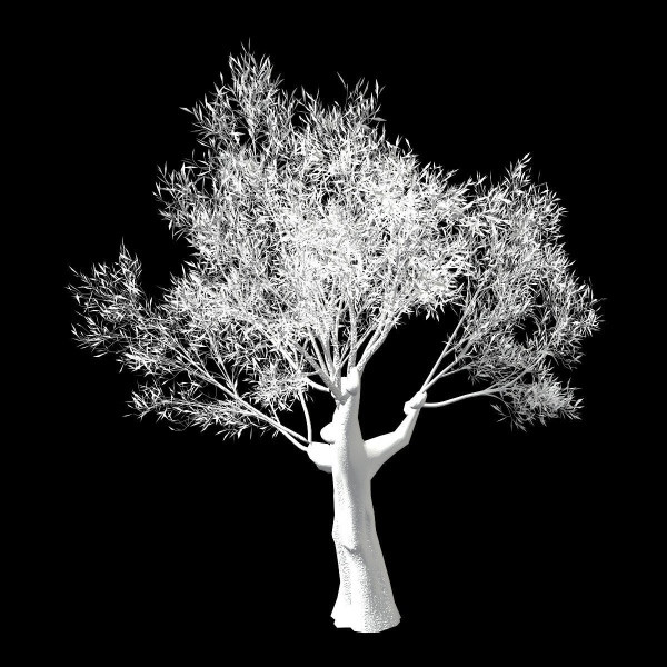 Hundred Forests-Plants-Sui Di Tree 01
