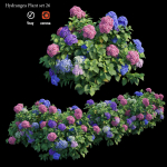 Hydrangea Plant set 26