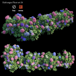 Hydrangea Plant set 26