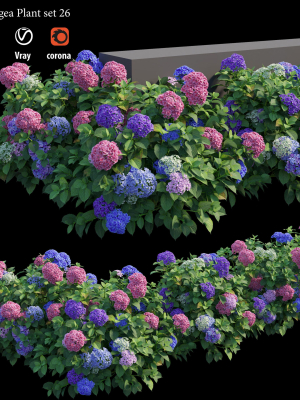 Hydrangea Plant set 26