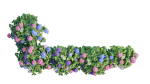 Hydrangea Plant set 26