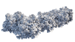 Hydrangea Plant set 26