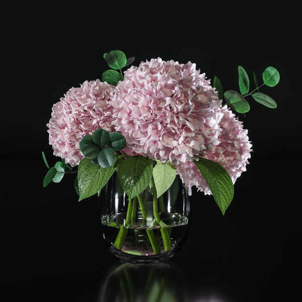Hydrangea set 001