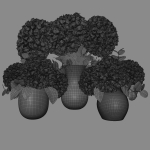 Hydrangea set 001