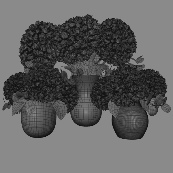 Hydrangea set 001