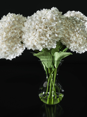 hydrangea-set-001-3d-model-b391d13dd5