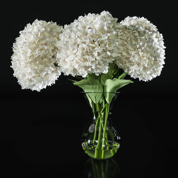 Hydrangea set 001