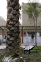 Hyper-realistic Palm Tree