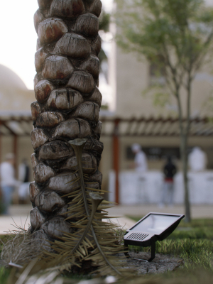 hyper-realistic-palm-tree-3d-model-max-obj-fbx-dae