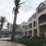 Hyper-realistic Palm Tree
