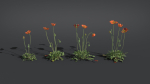 Iceland Poppy VFX Grace
