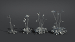 Iceland Poppy VFX Grace